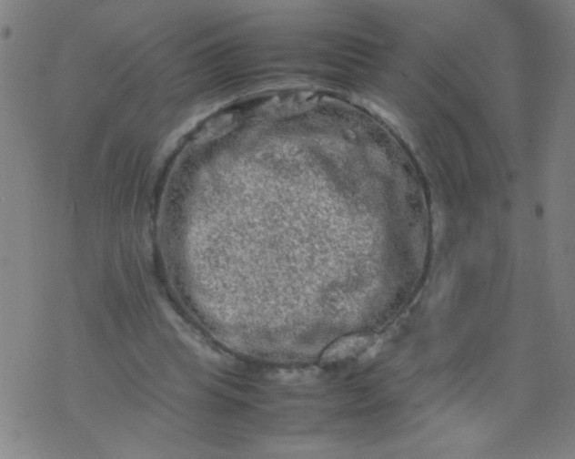 X0000074290345200609081857