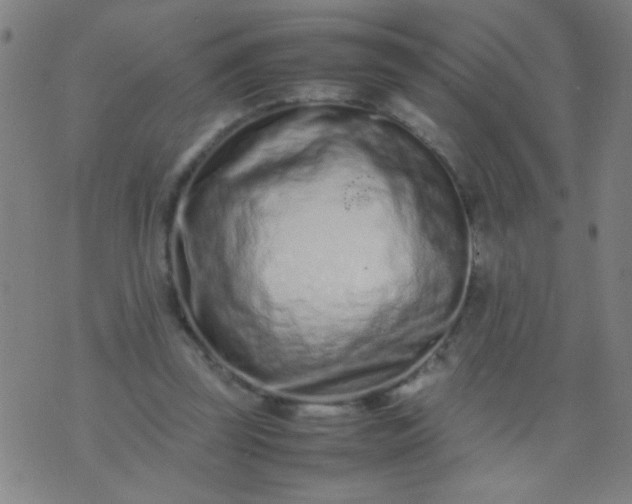 X0000074290347200609081857