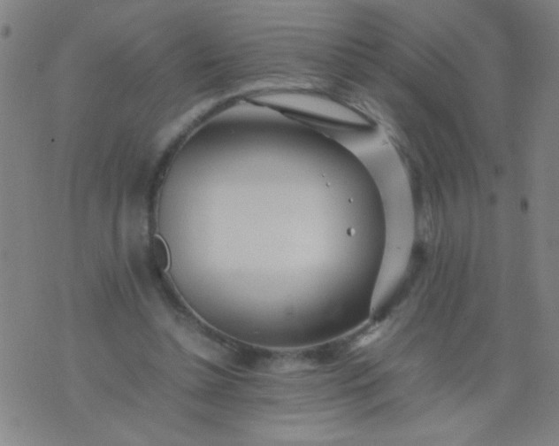 X0000074290348200609081857