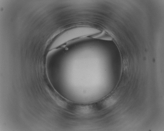 X0000074290349200609081857