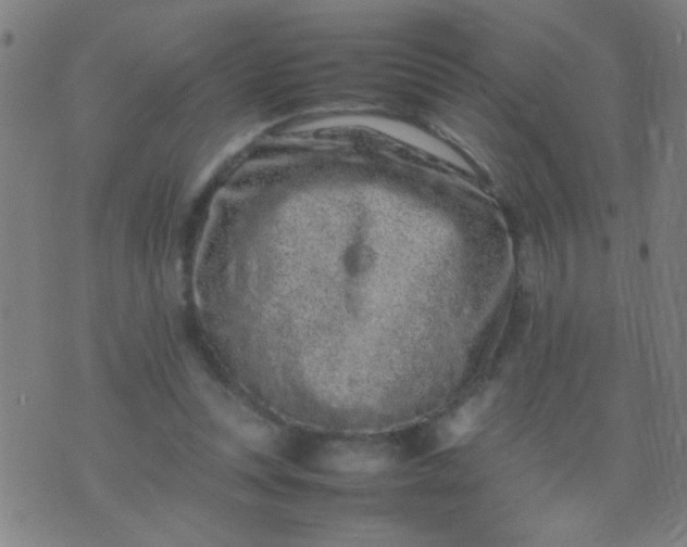 X0000074290351200609081857