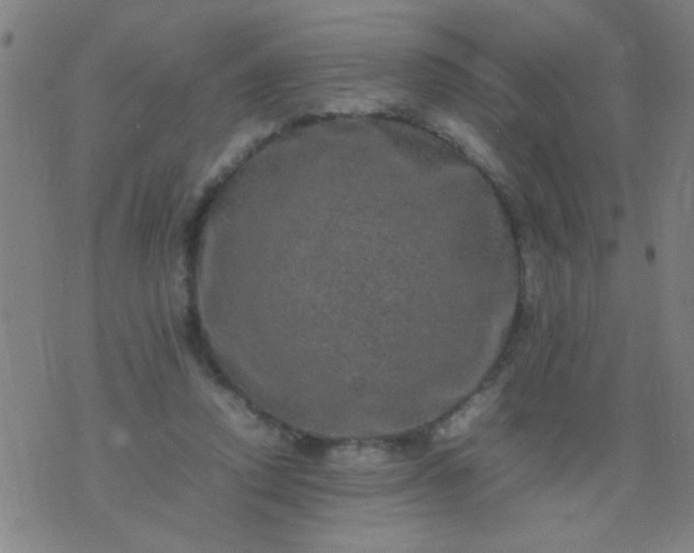 X0000074290354200609081857