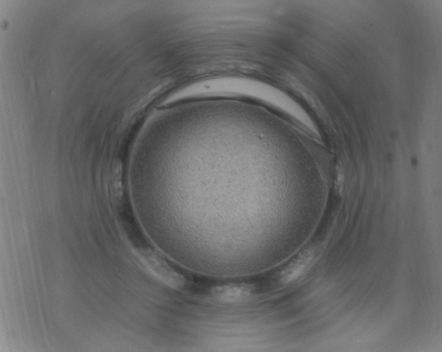 X0000074290356200609081858