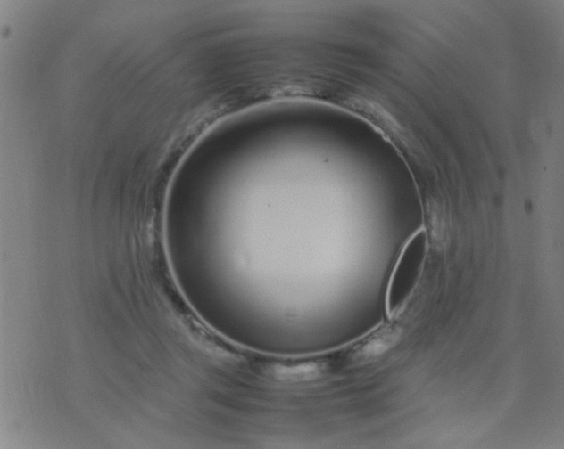 X0000074290357200609081858