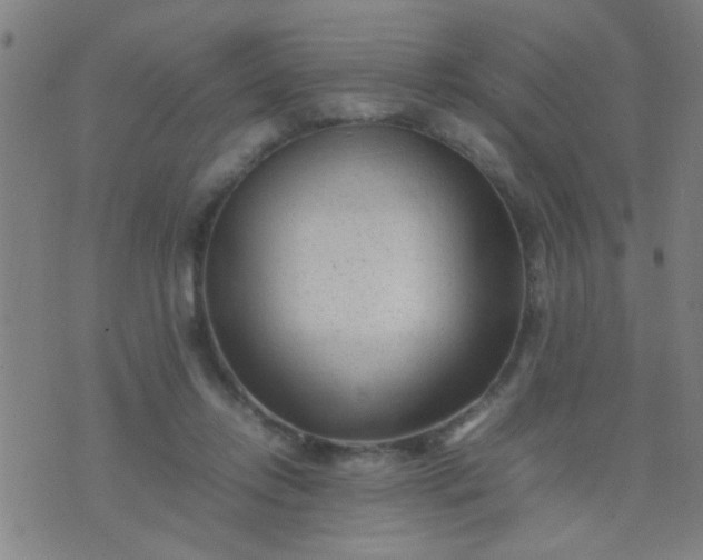 X0000074290358200609081858