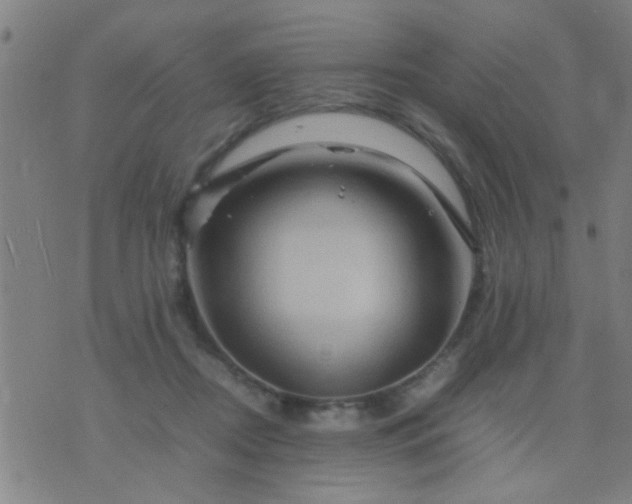 X0000074290362200609081858