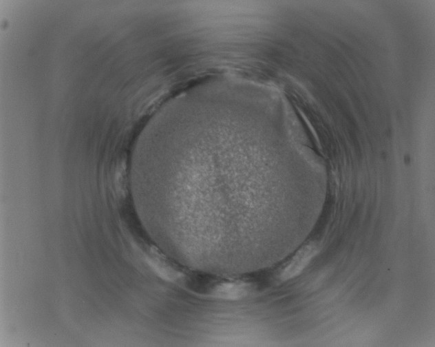 X0000074290364200609081858