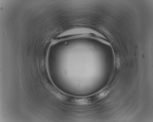 X0000074290365200609081858