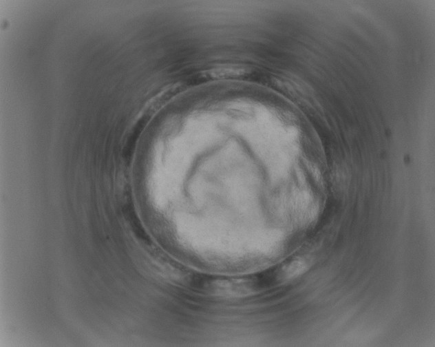 X0000074290367200609081858