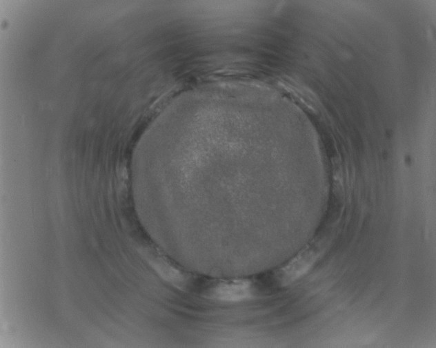 X0000074290369200609081858