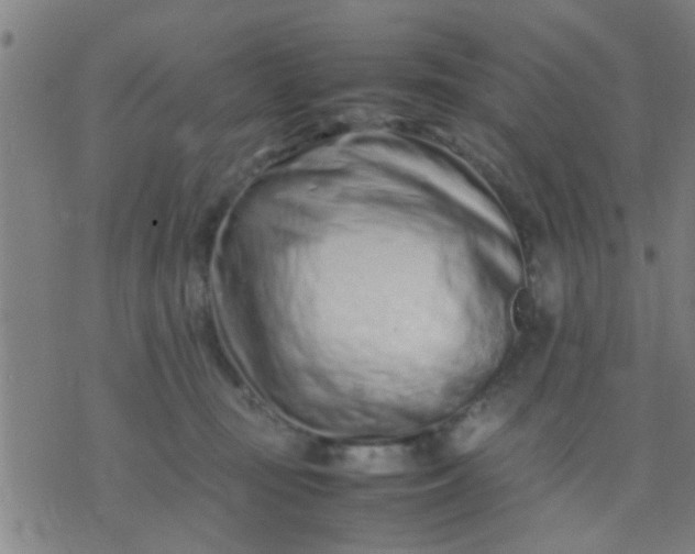 X0000074290371200609081858