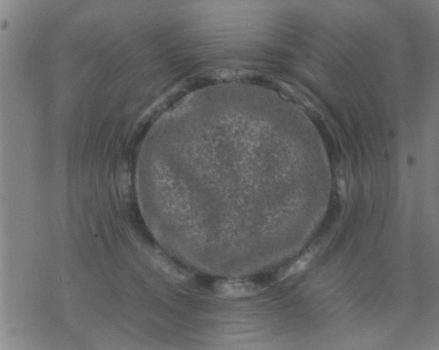 X0000074290372200609081858