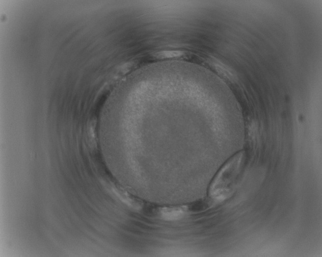 X0000074290373200609081858