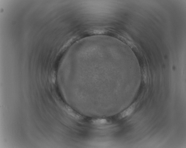 X0000074290374200609081858