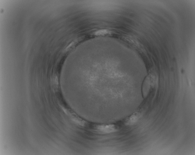 X0000074290375200609081858