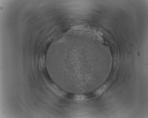 X0000074290376200609081858