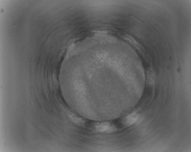 X0000074290377200609081858