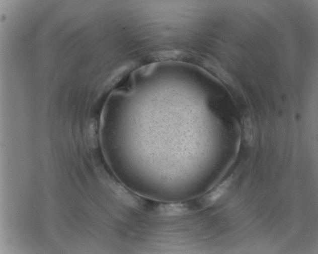 X0000074290378200609081858