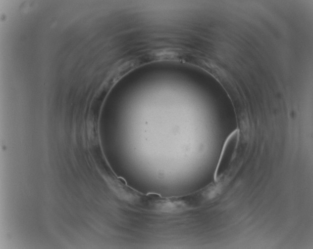 X0000074290379200609081858