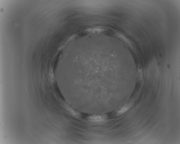 X0000074290381200609081858