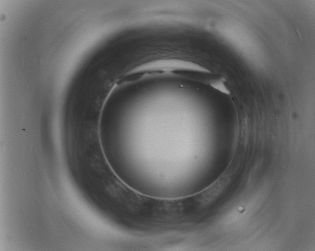 X0000074290383200609081858