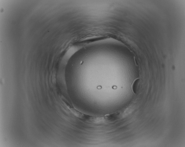 X0000074290384200609081858