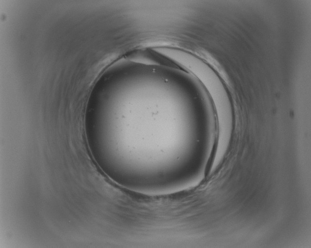 X0000074290385200609081857