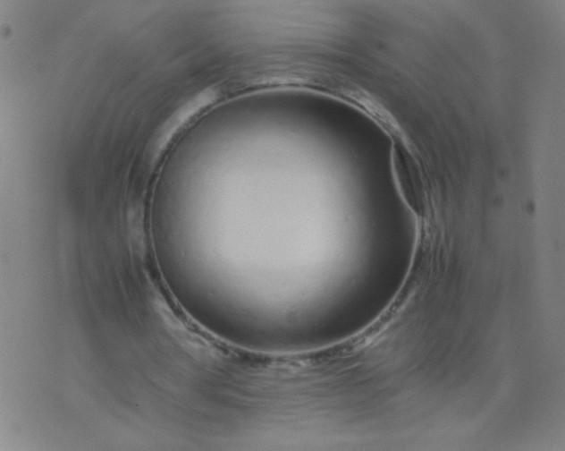 X0000074290386200609081857