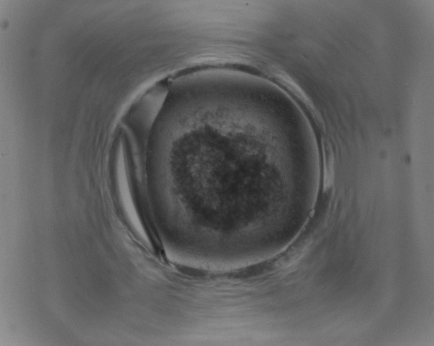 X0000074290387200609081857