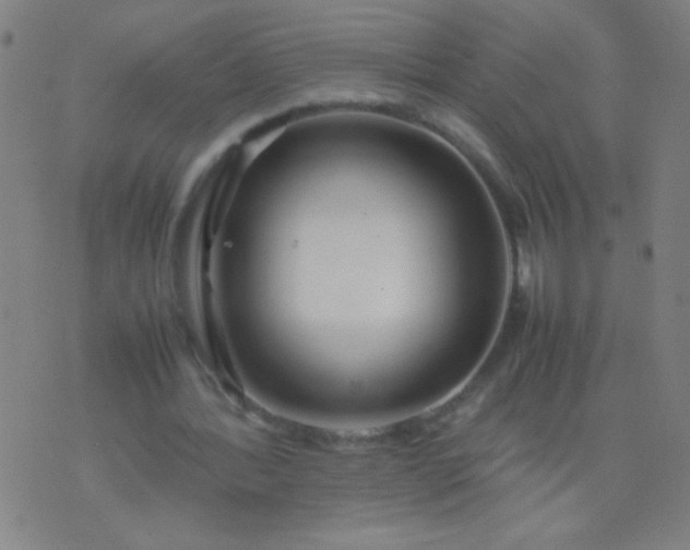 X0000074290388200609081857