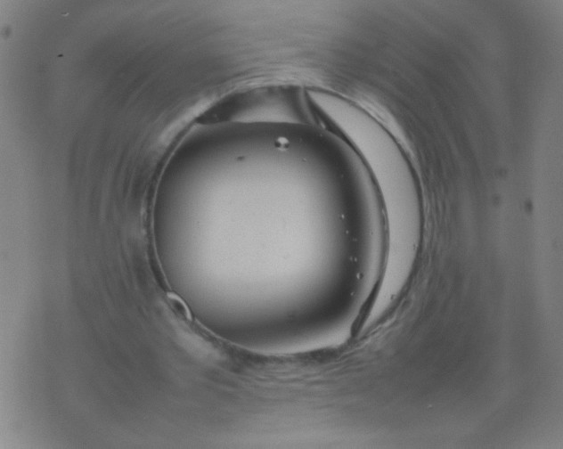 X0000074290389200609081857