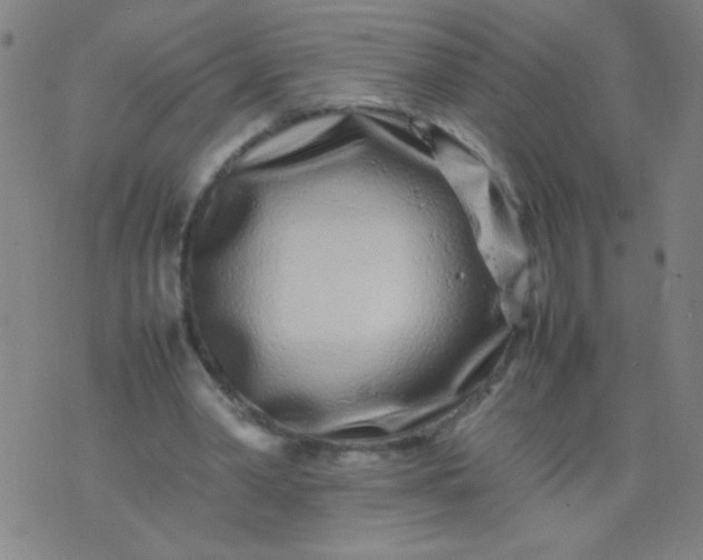 X0000074290390200609081857