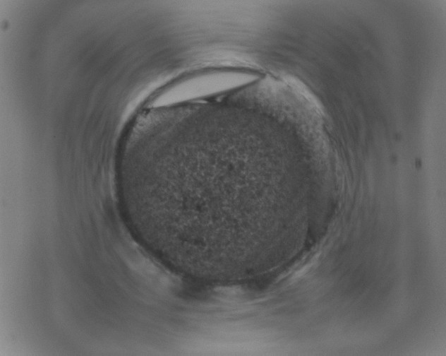 X0000074290391200609081857