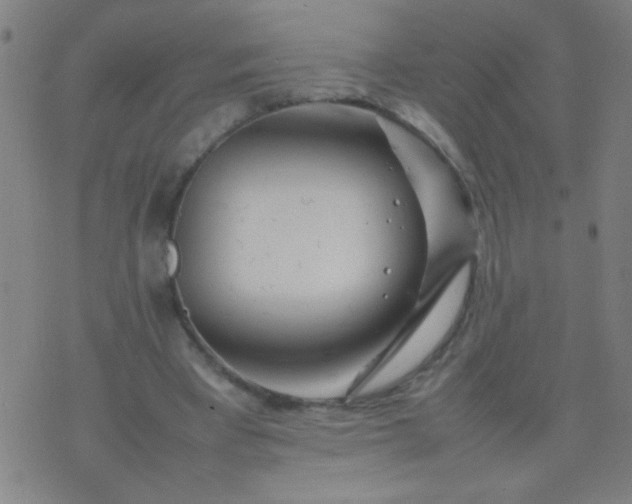 X0000074290393200609081857