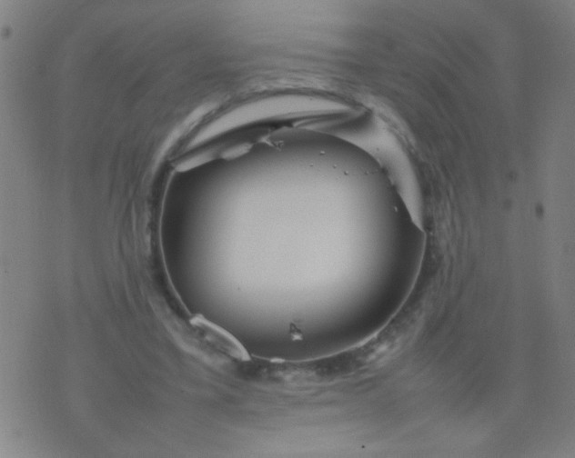 X0000074290395200609081857