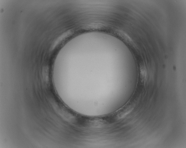 X0000074290396200609081857