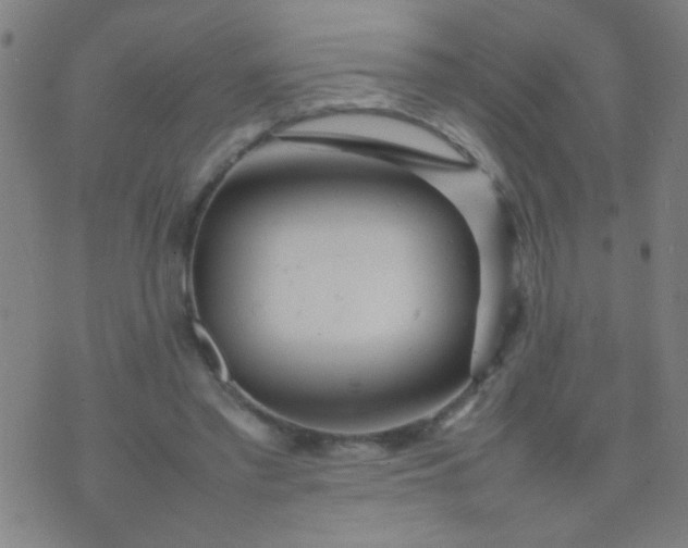 X0000074290397200609081857