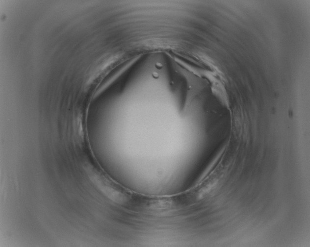 X0000074290398200609081857