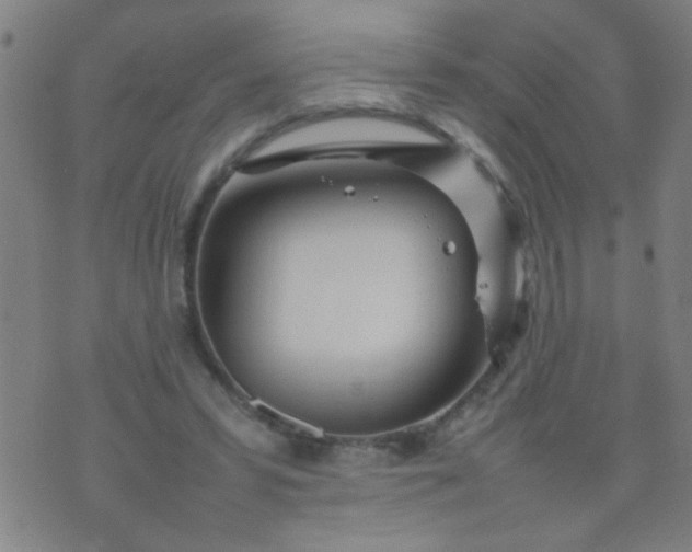 X0000074290399200609081857