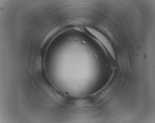 X0000074290400200609081857