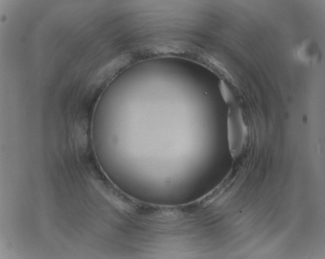 X0000074290402200609081857