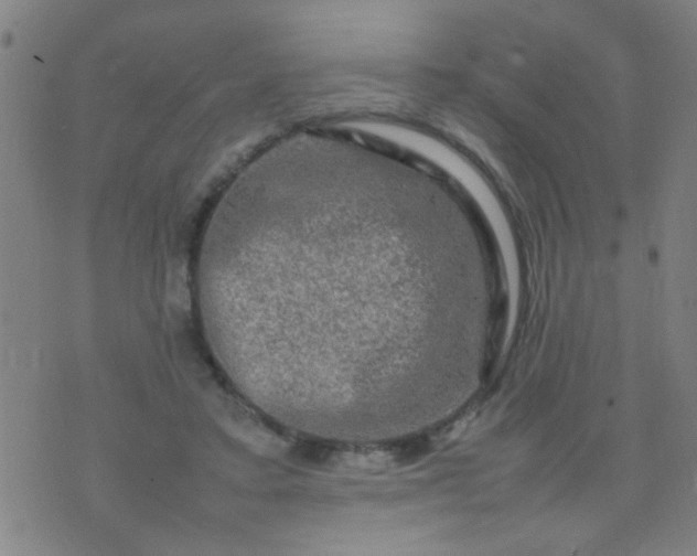 X0000074290403200609081857