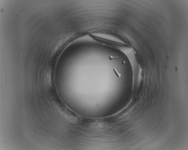 X0000074290404200609081857