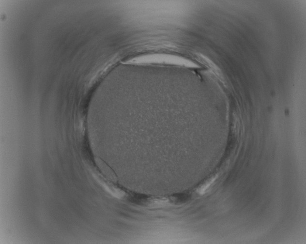 X0000074290405200609081857