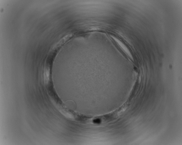 X0000074290406200609081857