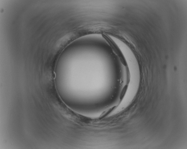 X0000074290407200609081857