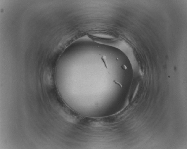 X0000074290408200609081857