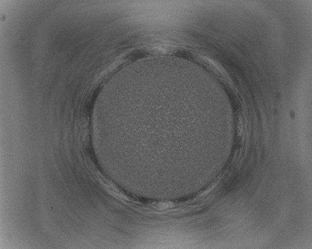 X0000074290409200609081857