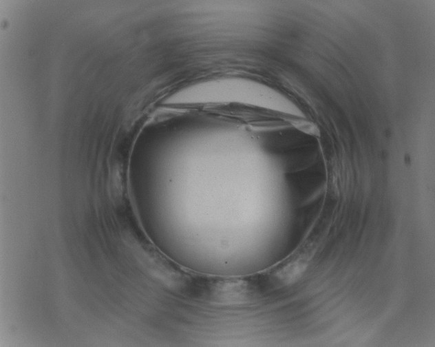 X0000074290410200609081857