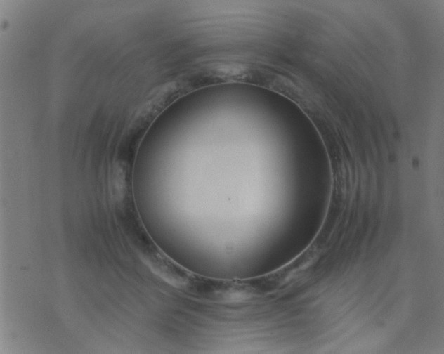 X0000074290412200609081857